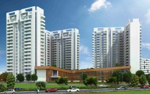 Ambience Creacions 2 BHK @ 1.42 Lacs Onwards In Gurgaon Sect